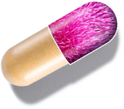 Siliphos® Bioavailable Silybin®