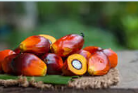 Full Spectrum Vitamin E